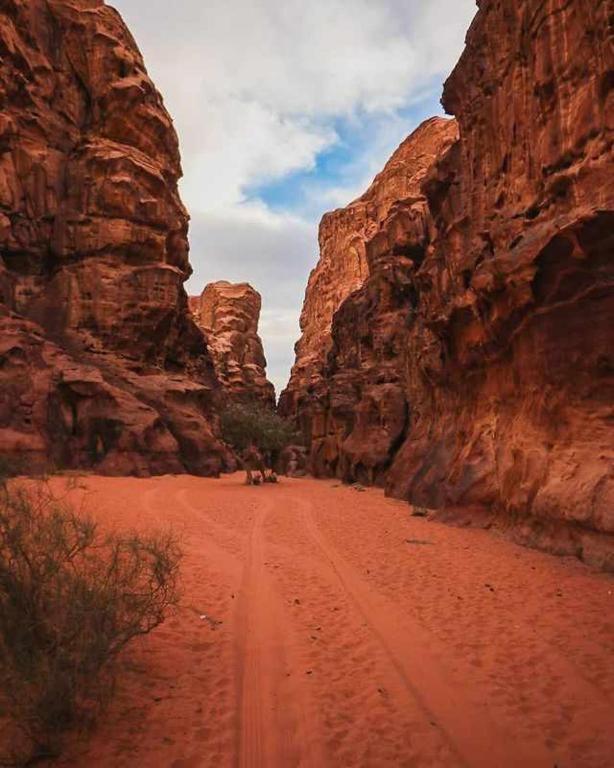 Wadi Rum Desert Heart Camp Bagian luar foto