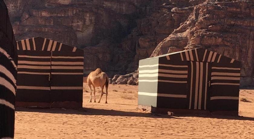 Wadi Rum Desert Heart Camp Bagian luar foto